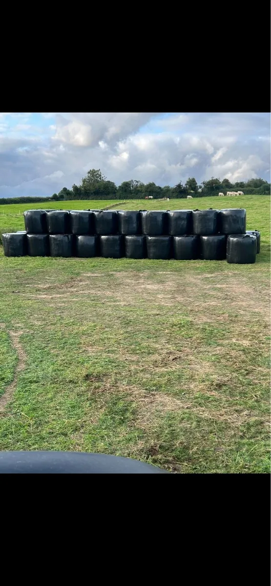 QUALITY FEEDING SILAGE AND HAYLAGE - Image 4