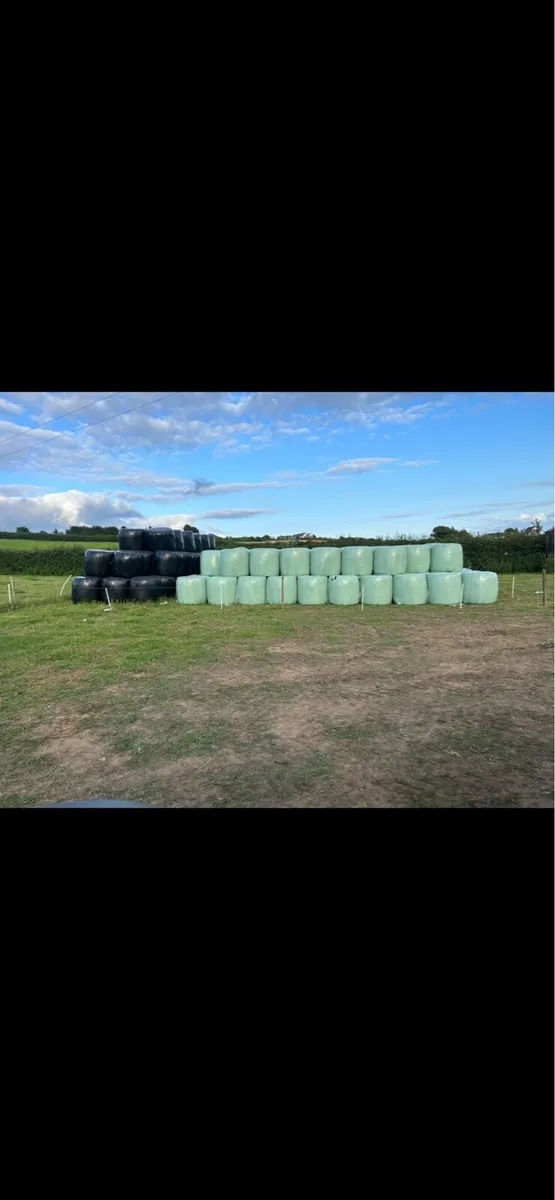 QUALITY FEEDING SILAGE AND HAY - Image 4