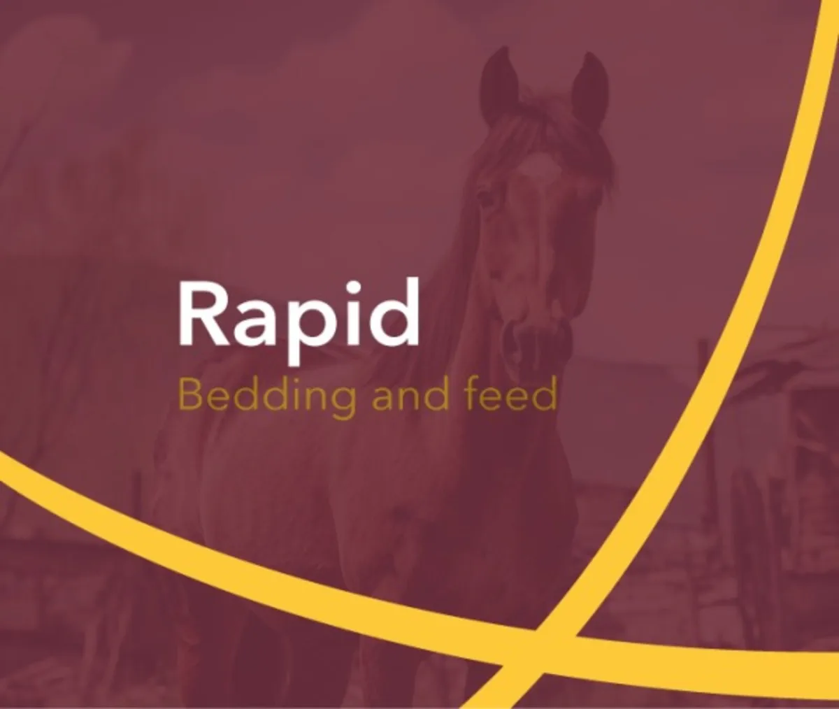 RAPID – Premium Horse Bedding - Image 2