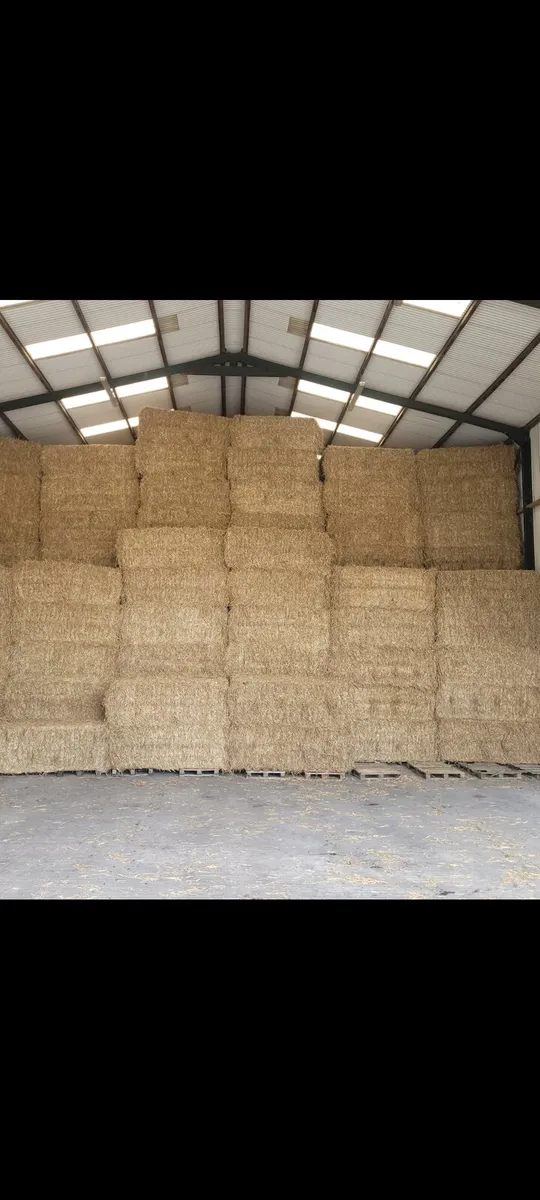 Barley straw - Image 2