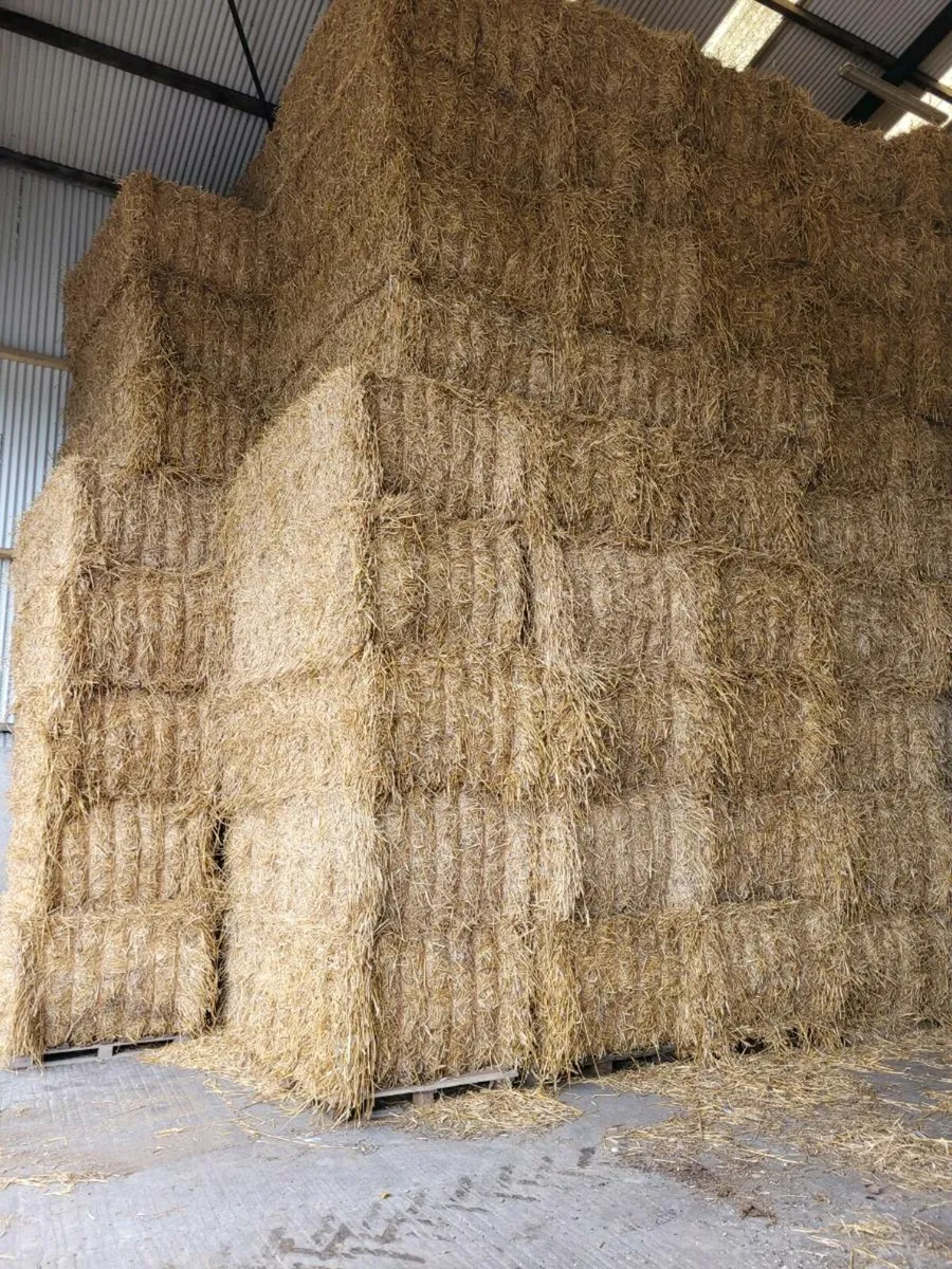 Barley straw - Image 3