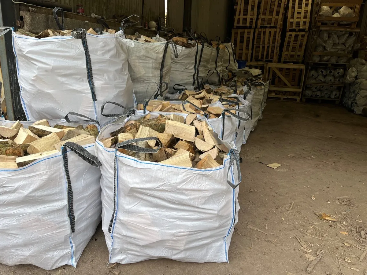 Firewood - Image 2