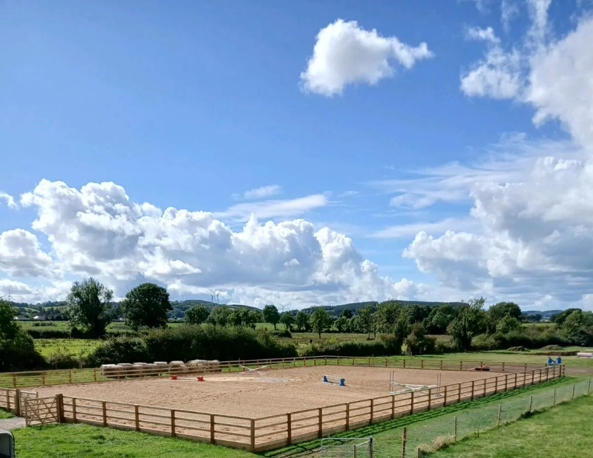 Breaking and schooling SPACES AVAILABLE - Image 1