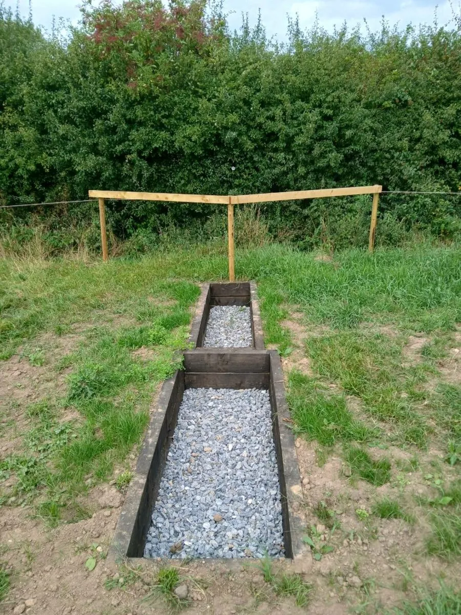 Breaking and schooling SPACES AVAILABLE - Image 4