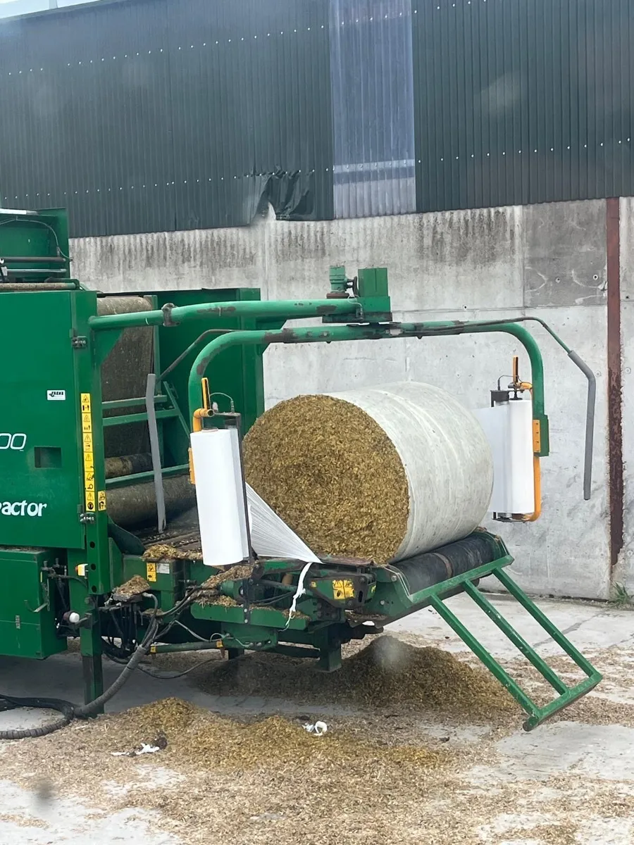 Maize For Sale - Image 1