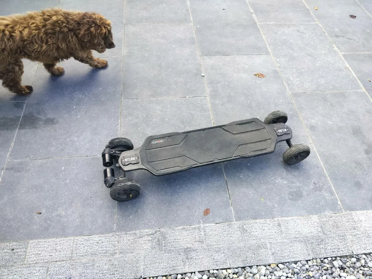 Electric Skateboard - Image 2