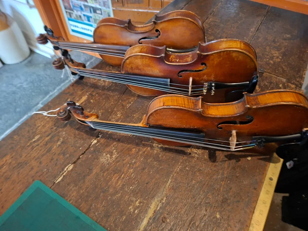 Violins - Image 4