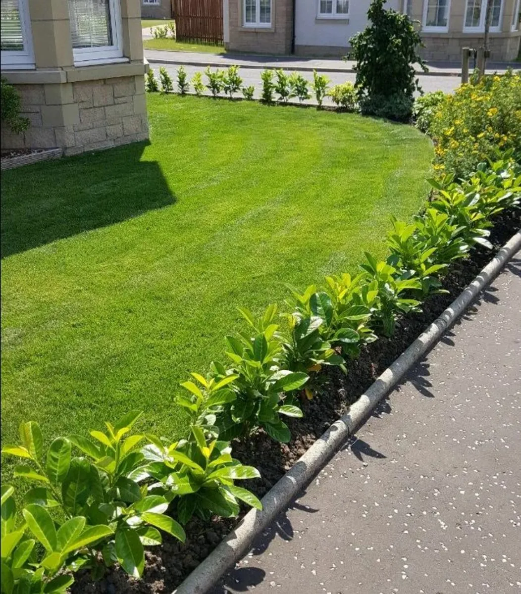 Handyman Available - Image 4