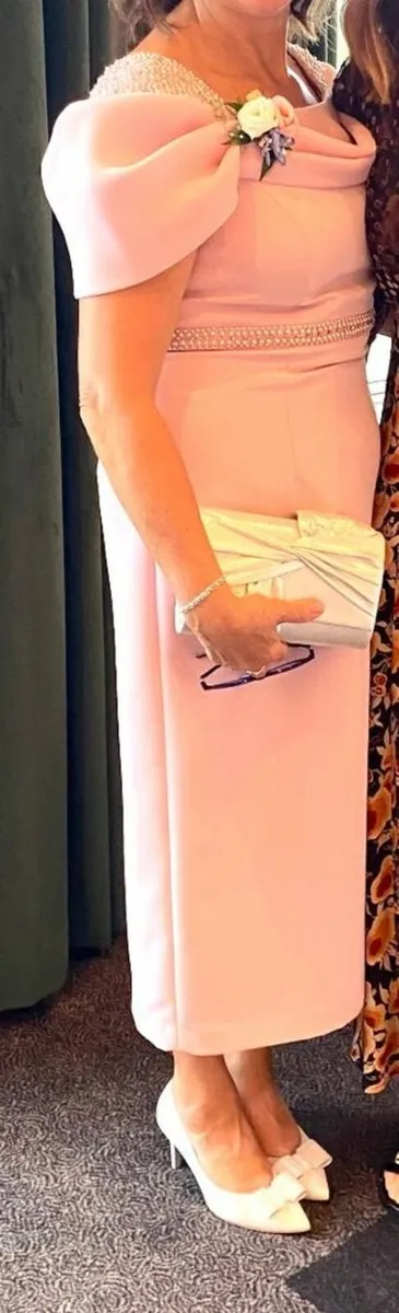 Mother of the Bride Dress and Fascinator - Image 3