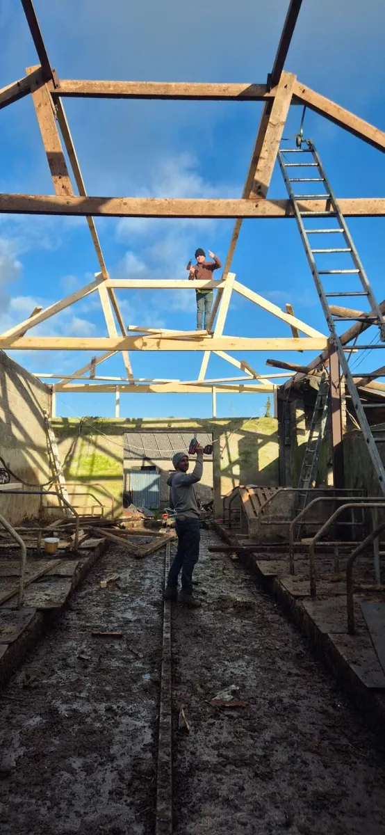 Farm shed repairs and gutters - Image 2