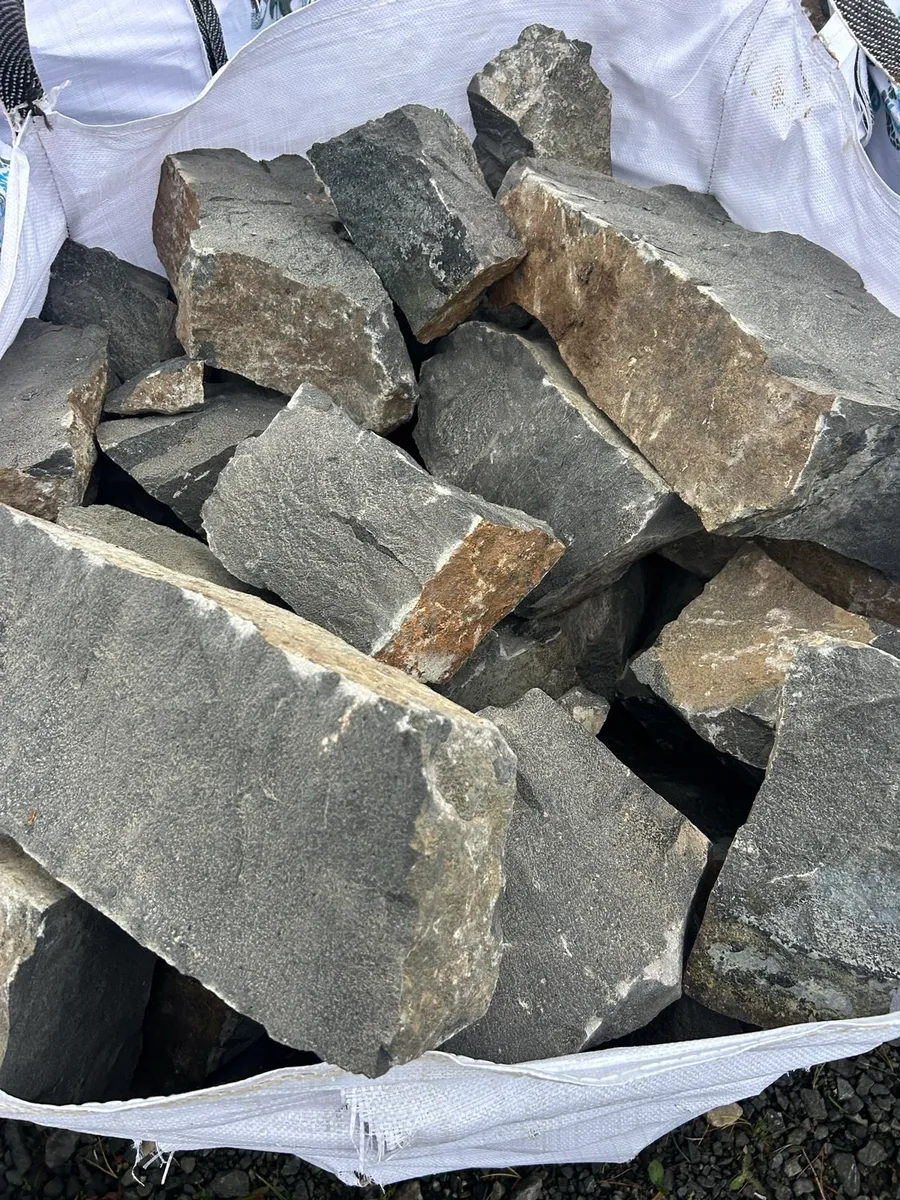 Saint James Gate Basalt/ Guinness Building Stone i - Image 1