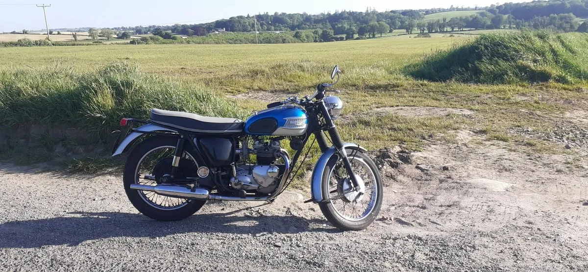 1965 Triumph Tiger 90 - Image 2