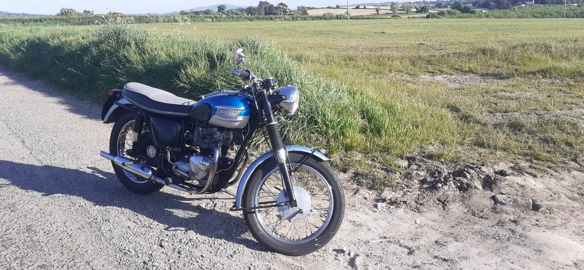 1965 Triumph Tiger 90 - Image 3