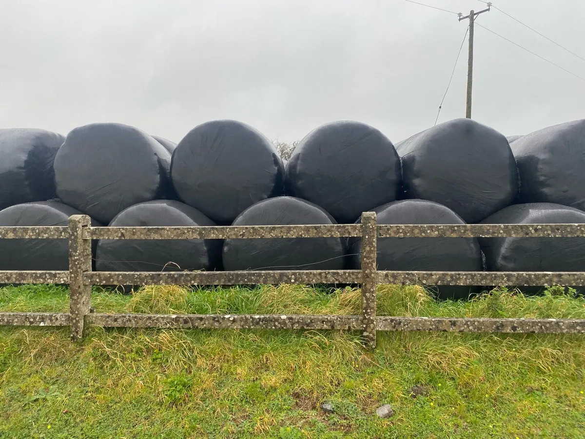 Hay & Haylage Bales for sale - Image 3