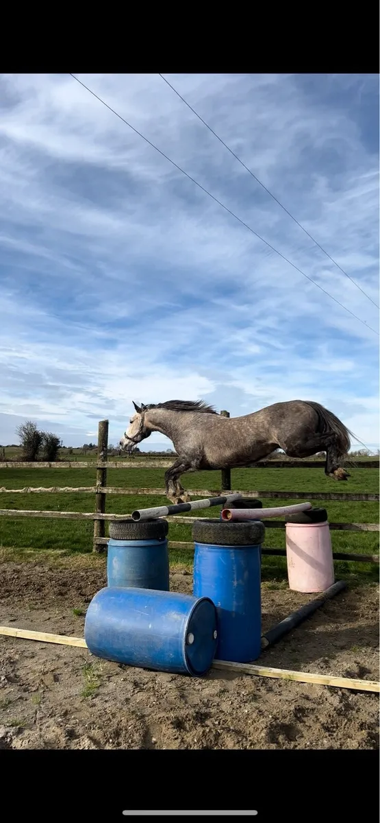 Royale Cruise X Olympic Lux Mare - Image 1