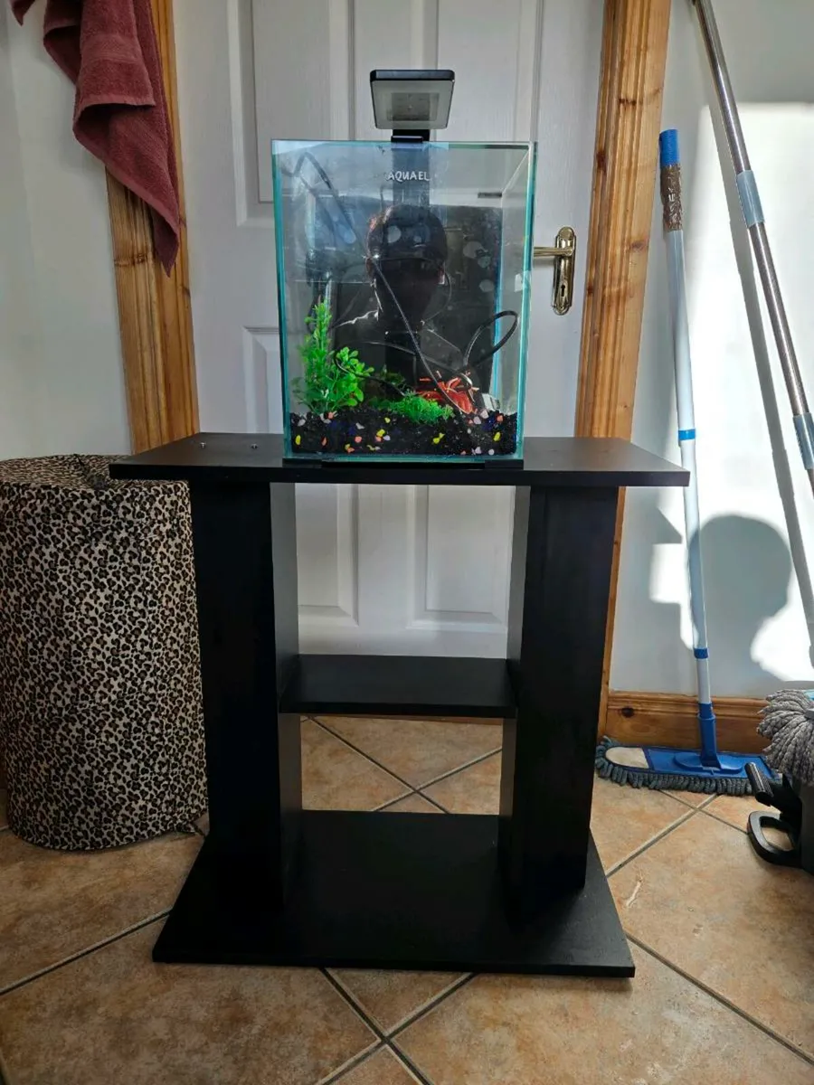 Aquarium with stand - Image 2