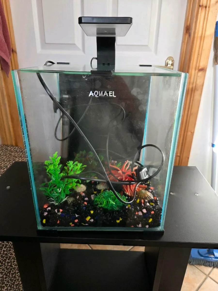 Aquarium with stand - Image 3