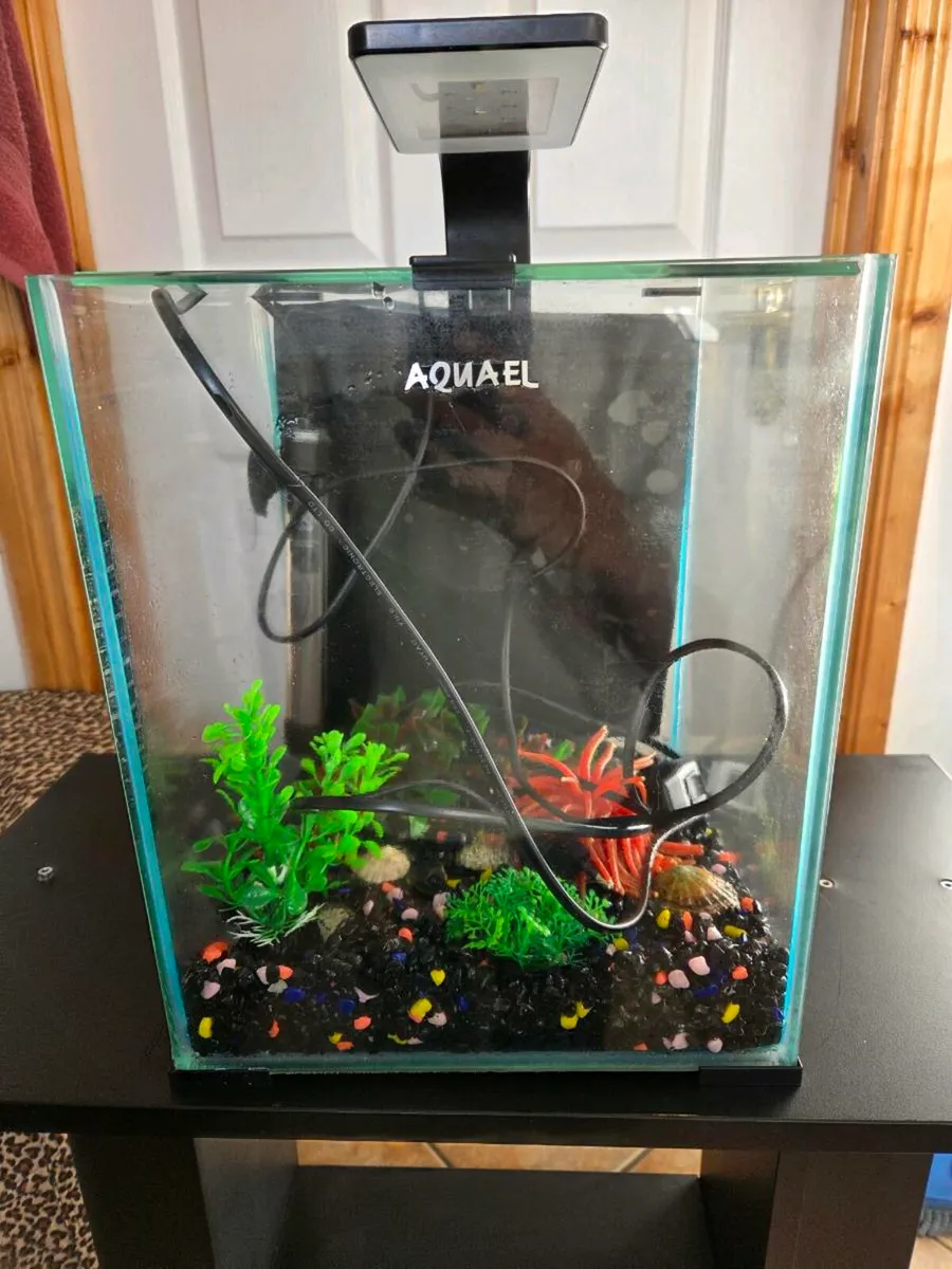 Aquarium with stand - Image 4