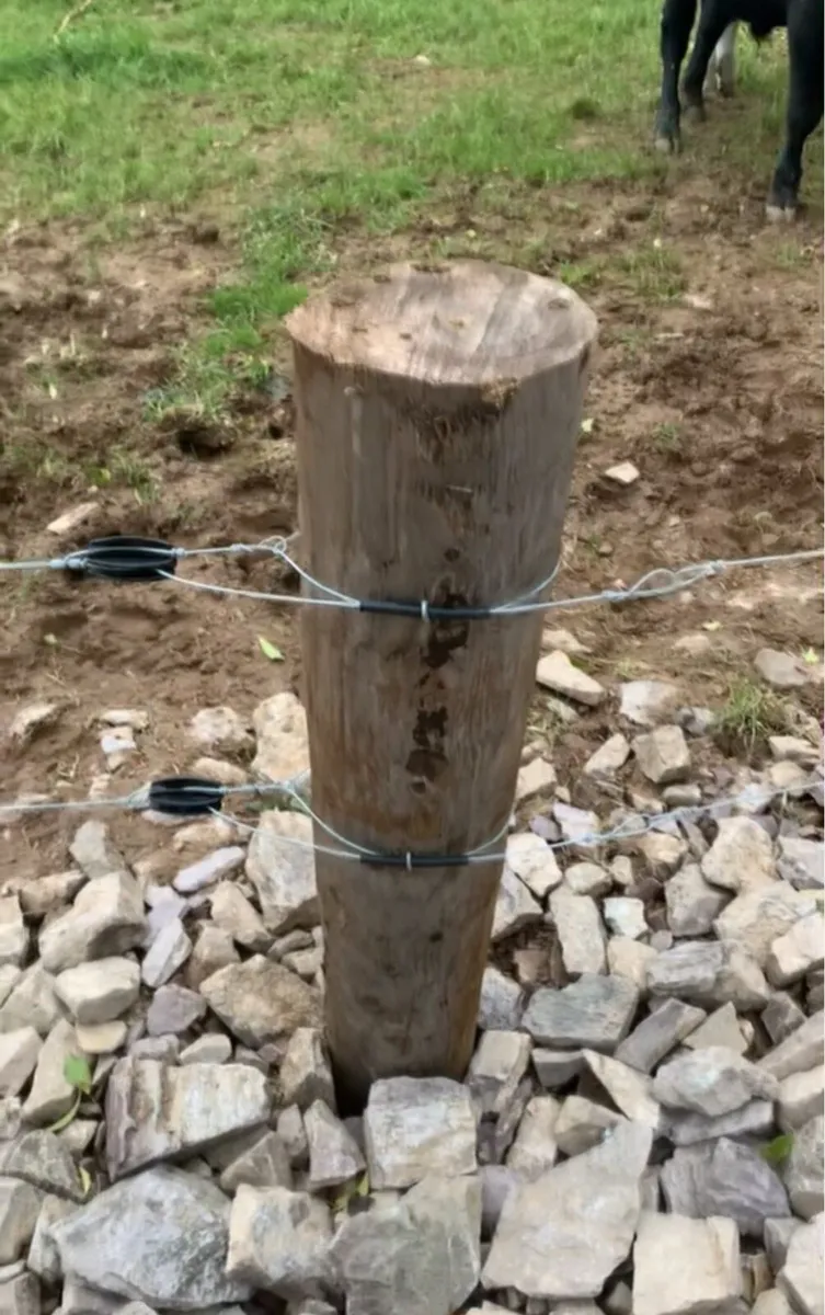 Fencing services - Image 3