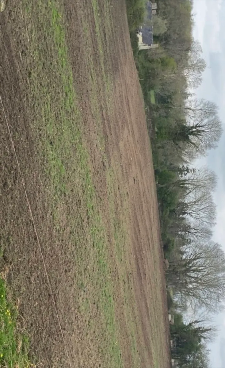 Digger -with driver - Image 4