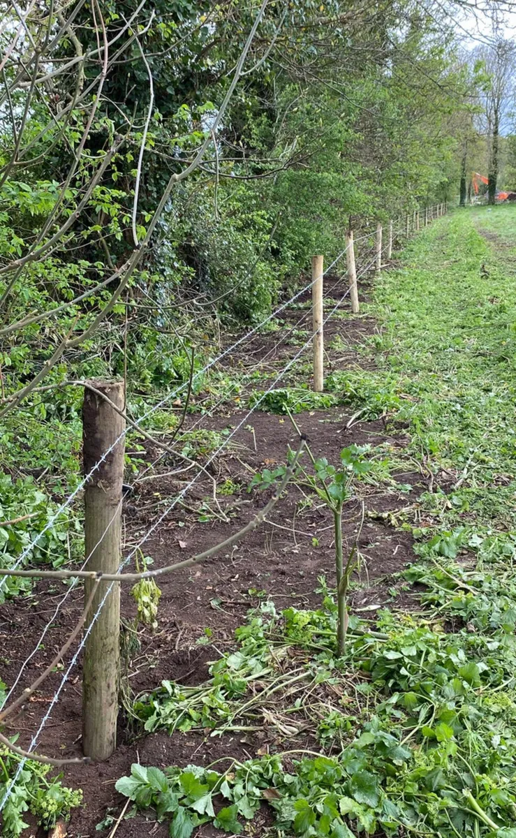 Digger -with driver - Image 3