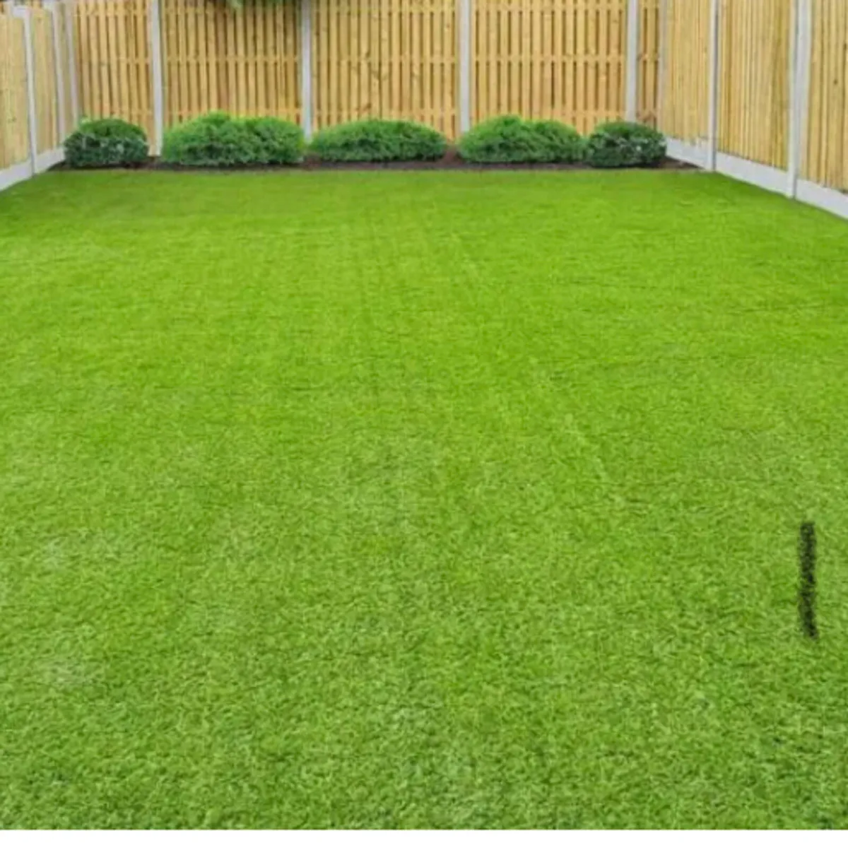 Artificial  grass free delivery - Image 2