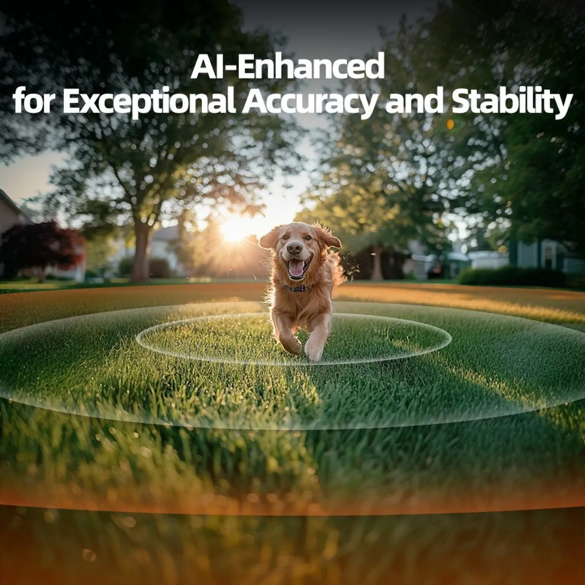 GPS Dog Fence - Image 3