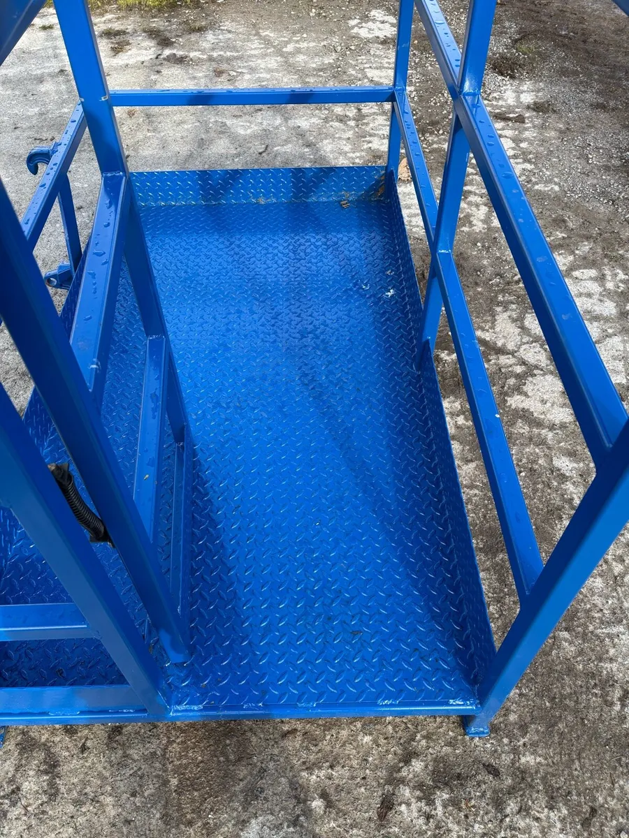 Dowd man basket - Image 3