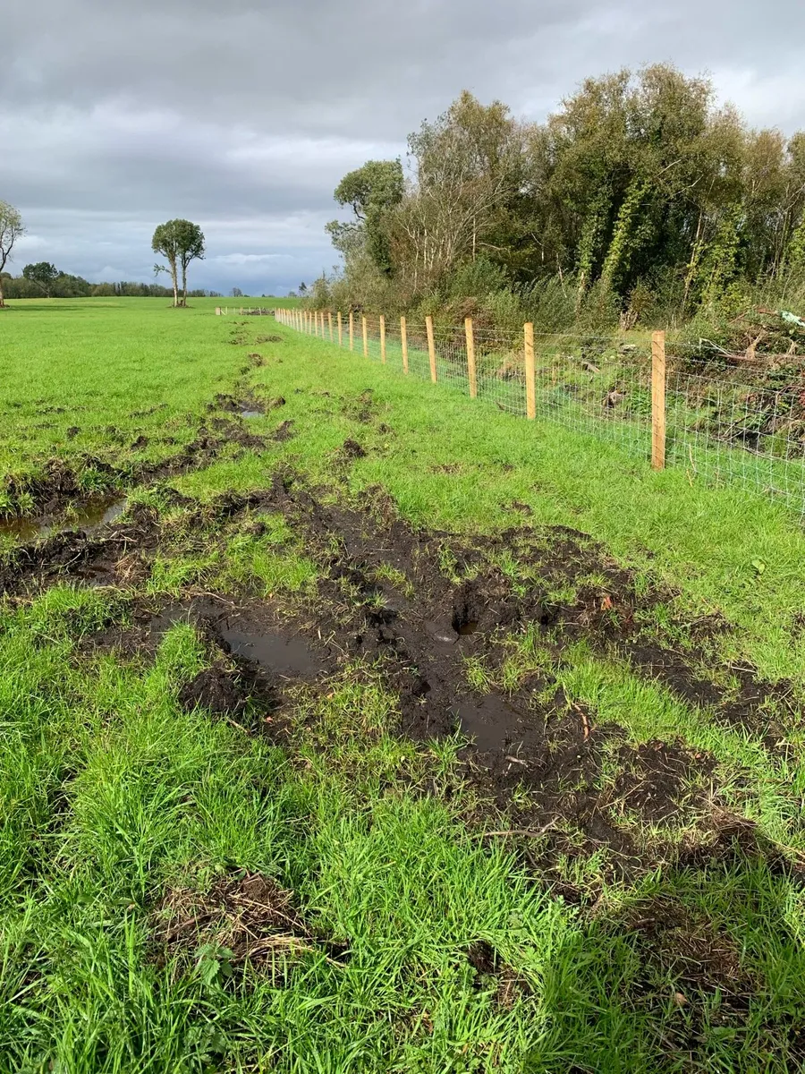 Healy Agri fencing - Image 3