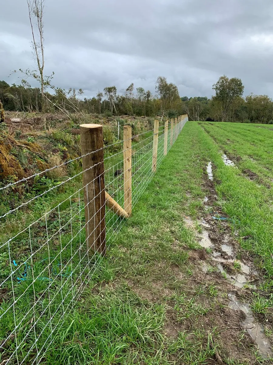 Healy Agri fencing - Image 4