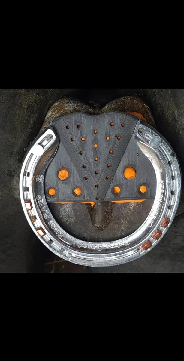 Brian horohoe Irish master farrier - Image 2