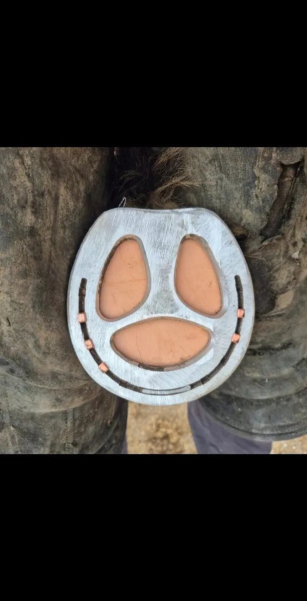 Brian horohoe Irish master farrier - Image 3