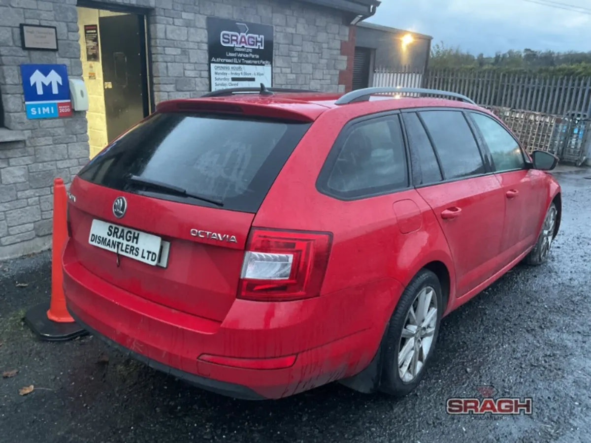 Skoda Octavia Collection - Image 4
