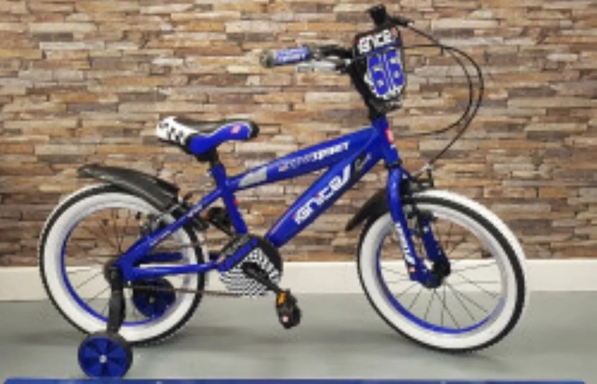 Child's Ignite Team Spirit Bicycle 14"