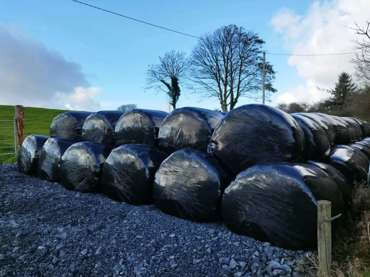 Silage bales for sale - Image 1