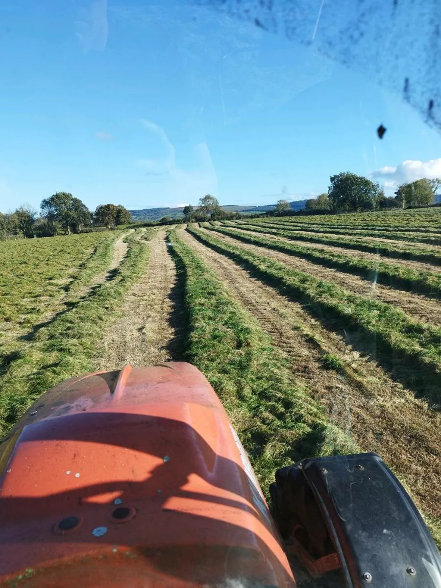 Silage bales for sale - Image 4