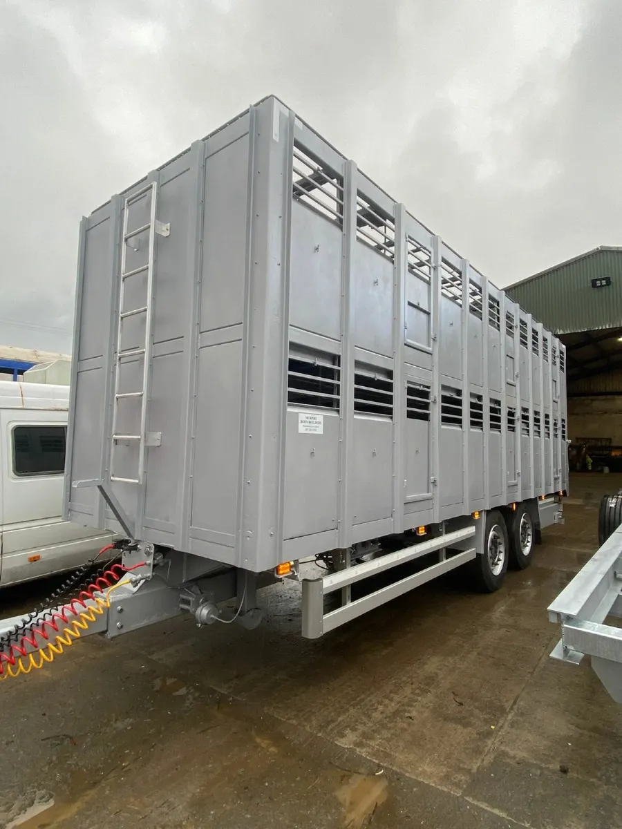 26ft Murphy Cattle Trailer - Image 2