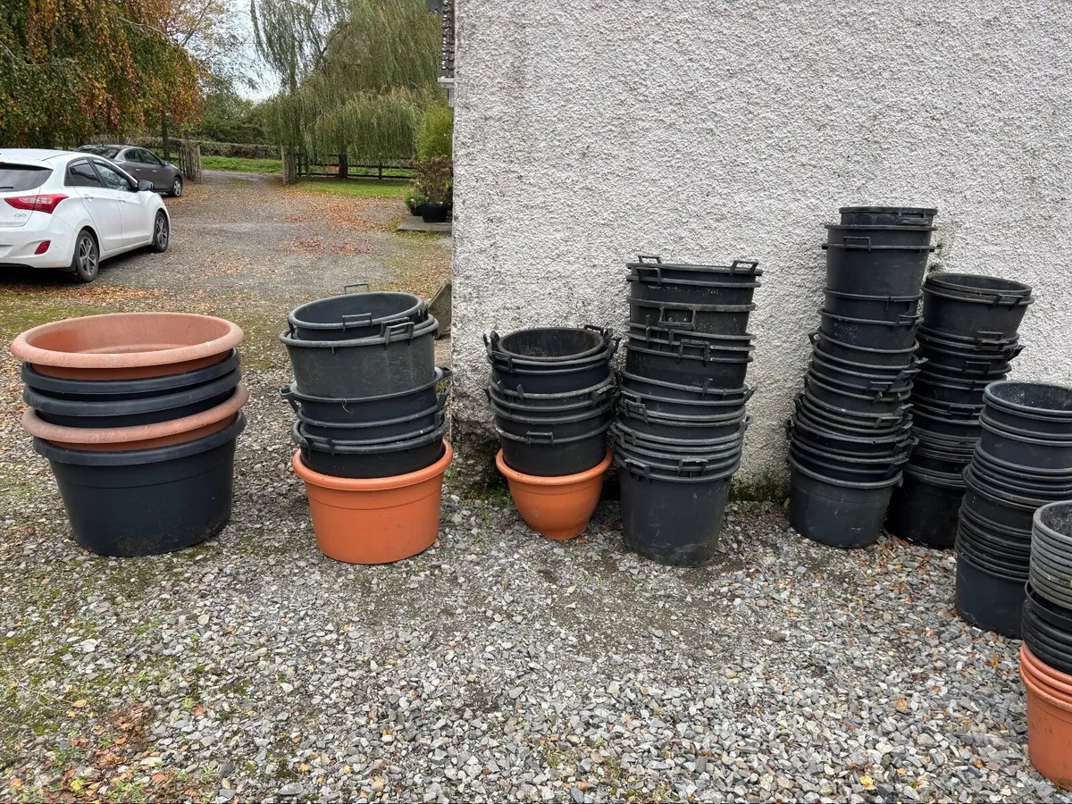 Plant Pots - Image 1