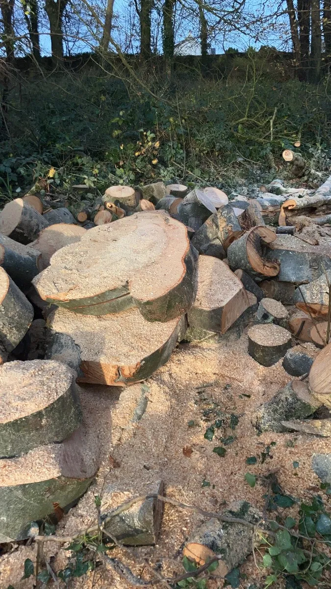 Firewood for sale - Image 1