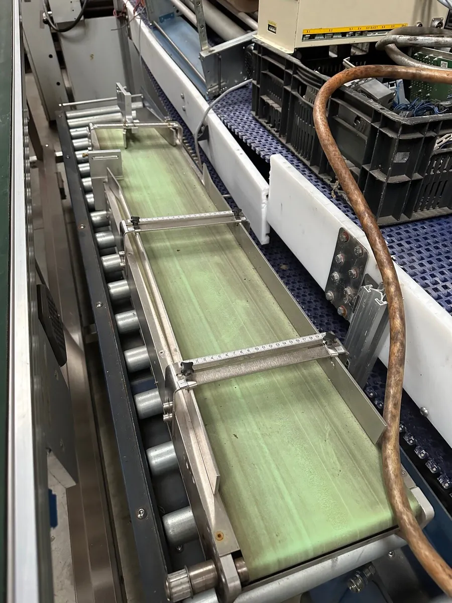 Conveyor Conveyors Stainless Steel - Image 3