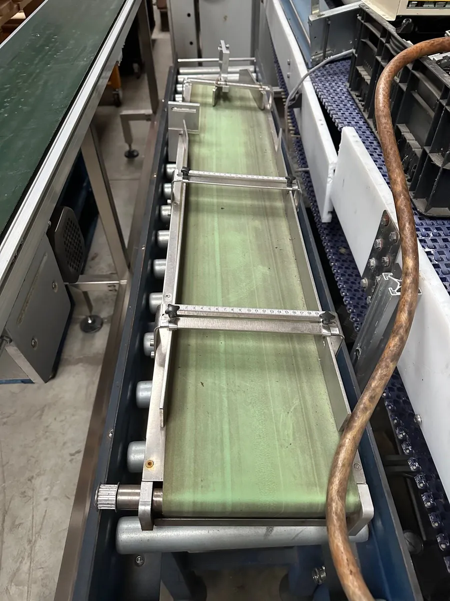 Conveyor Conveyors Stainless Steel - Image 4