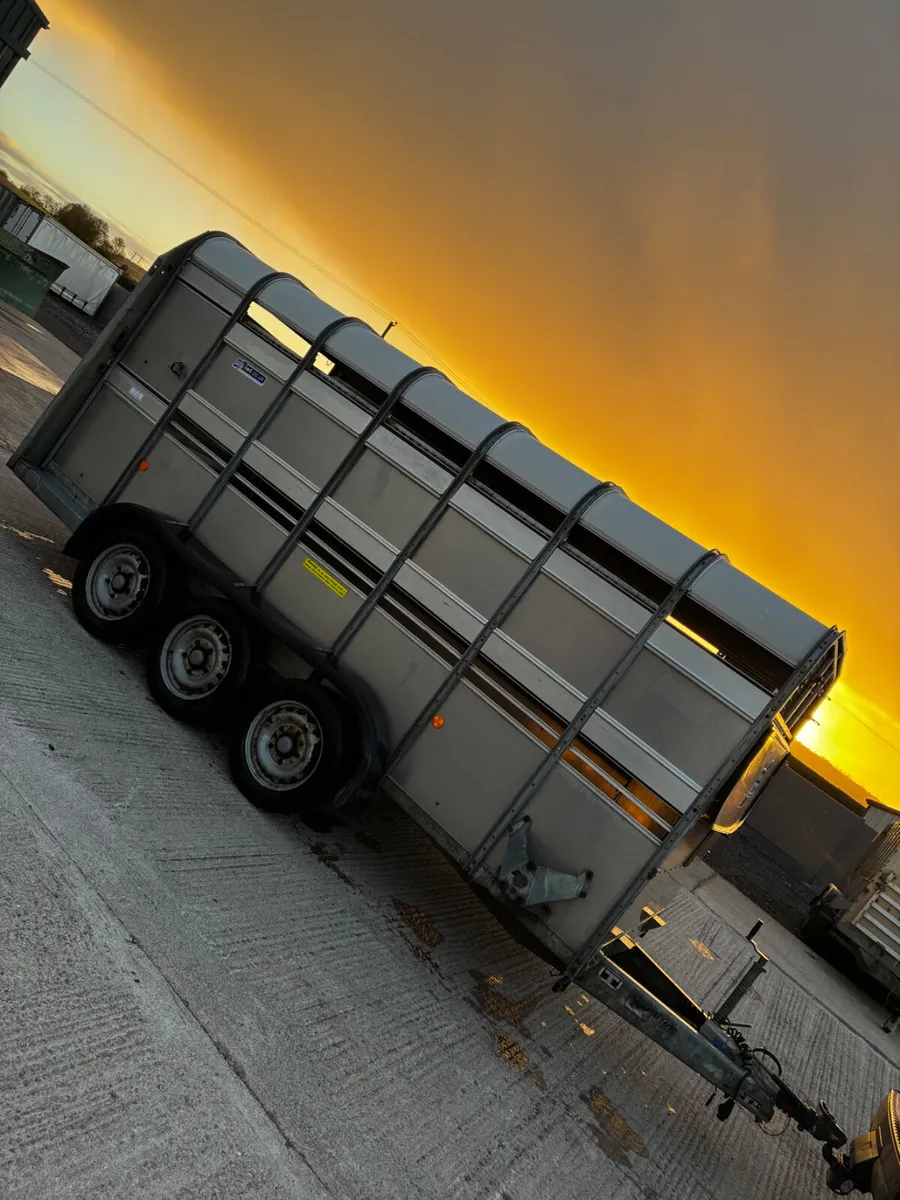 2021 Ifor Williams 14ft livestock trailer - Image 2