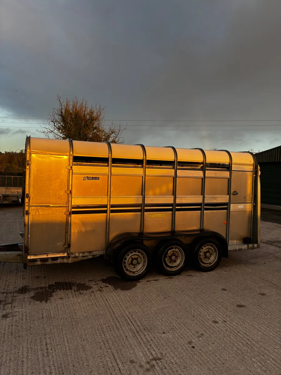 2021 Ifor Williams 14ft livestock trailer - Image 4