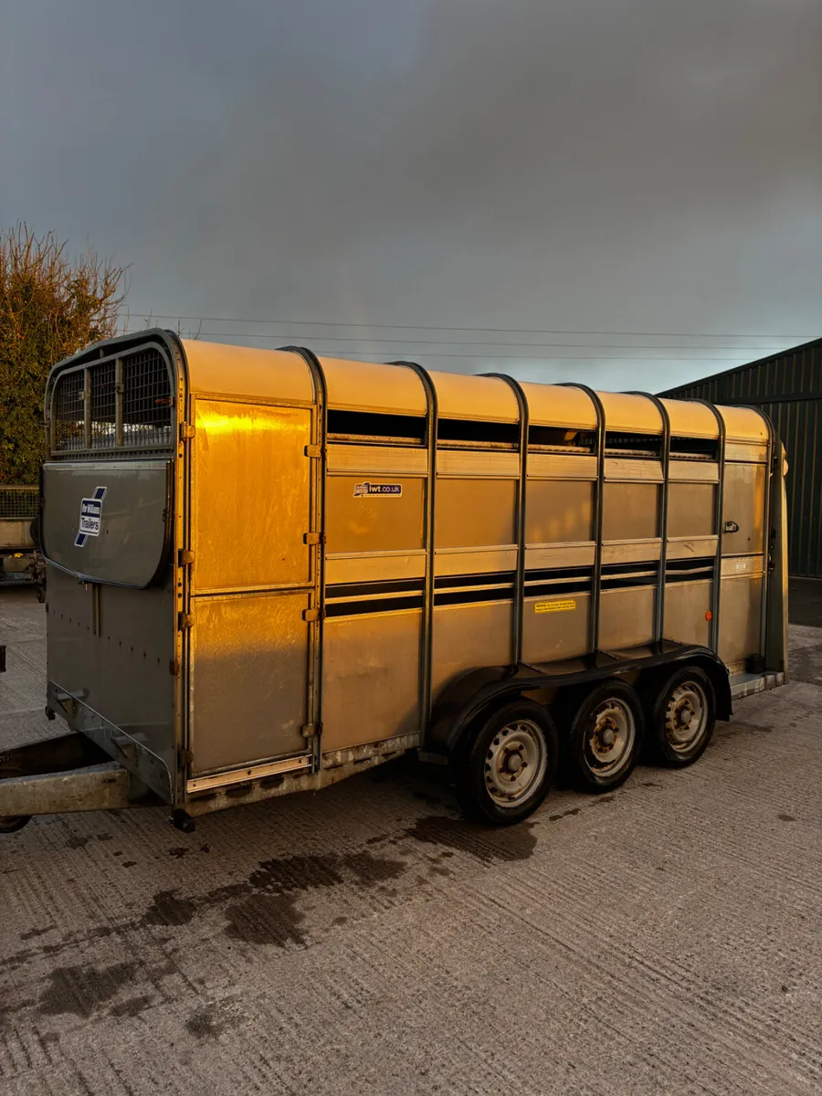 2021 Ifor Williams 14ft livestock trailer - Image 3