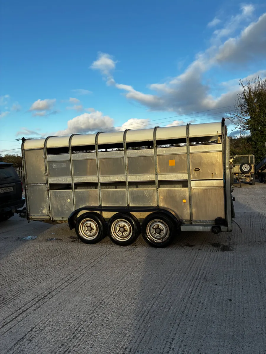 14ft ifor Williams livestock with decks - Image 3
