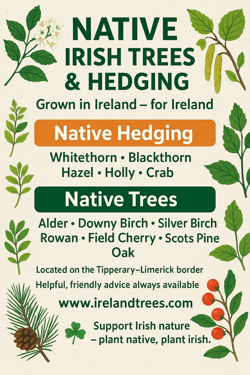 Native Irish Trees & Hedging - Image 1