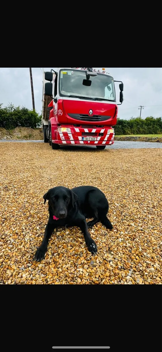 White sand - Image 4