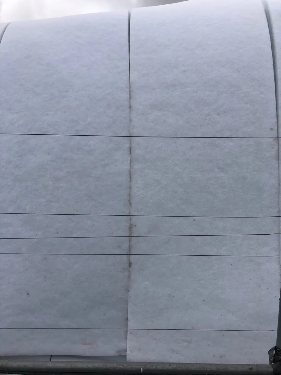 Insulation - Image 3