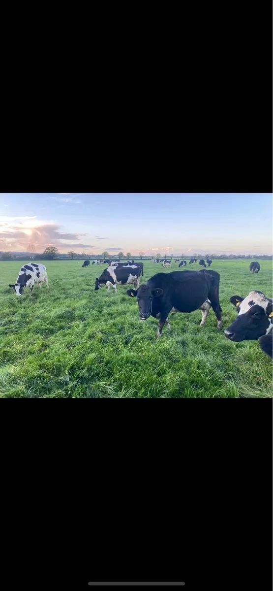 Farm Worker Required - Image 4