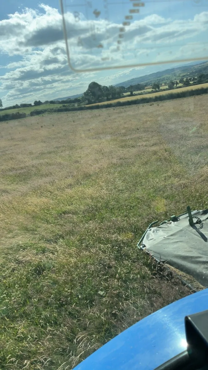 ⭐️Top quality Hay for sale⭐️ - Image 2